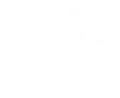 Ícone logo Canadian Solar